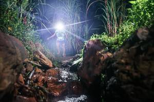 BIB: 
                            <button type="button" onclick="openModal(26414805)" class="btn btn-primary btn-sm float-right btn-popup" data-toggle="modal" data-target=".modal-high-quality">
                        <i class="fas fa-shopping-cart"></i> Add to Cart
                    </button>
                                            <button type="button" onclick="isThisMe(26414805, true)" class="btn btn-success btn-sm float-right btn-popup btn-isme hidden" data-toggle="tooltip" data-placement="bottom" title="นี่คือรูปของคุณใช่ไหม คลิกที่นี่เพื่อเอาเข้าอัลบั้ม">
                        <i class="fas fa-plus"></i> Add to album
                    </button>
                    <button type="button" onclick="isThisMe(26414805, false)" class="btn btn-warning btn-sm float-right btn-popup btn-isnotme hidden">
                        <i class="fas fa-ban"></i> Remove from album
                    </button>